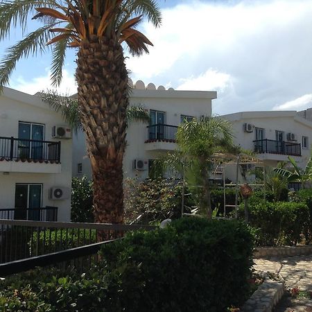 Aphelandra Hotel Apartments Айя Напа Екстериор снимка