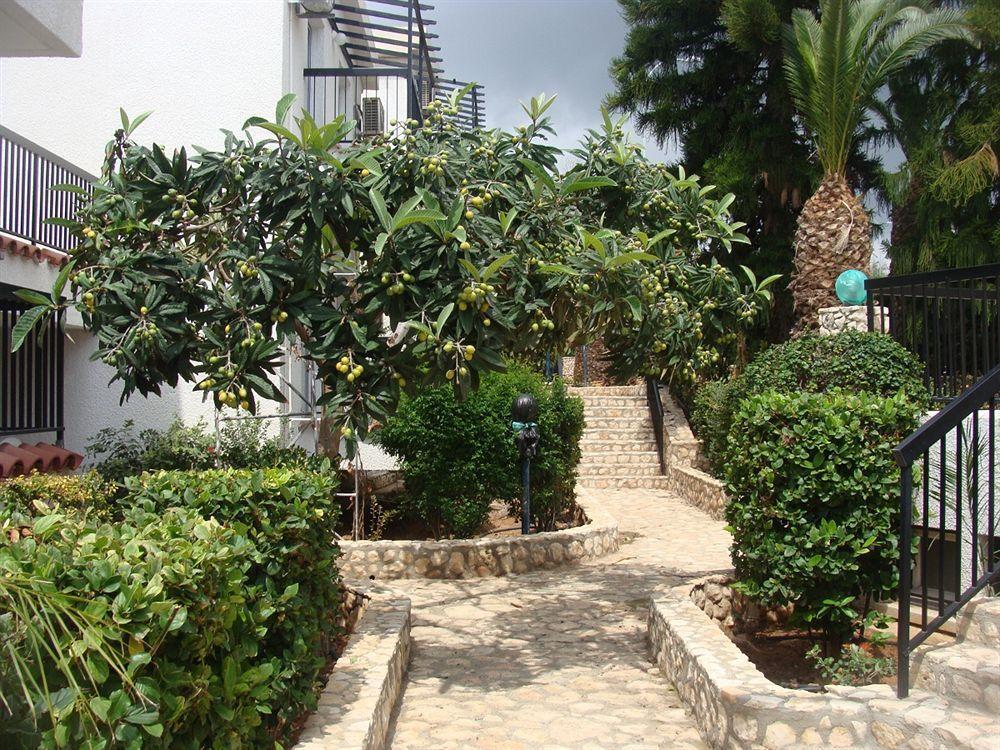Aphelandra Hotel Apartments Айя Напа Екстериор снимка