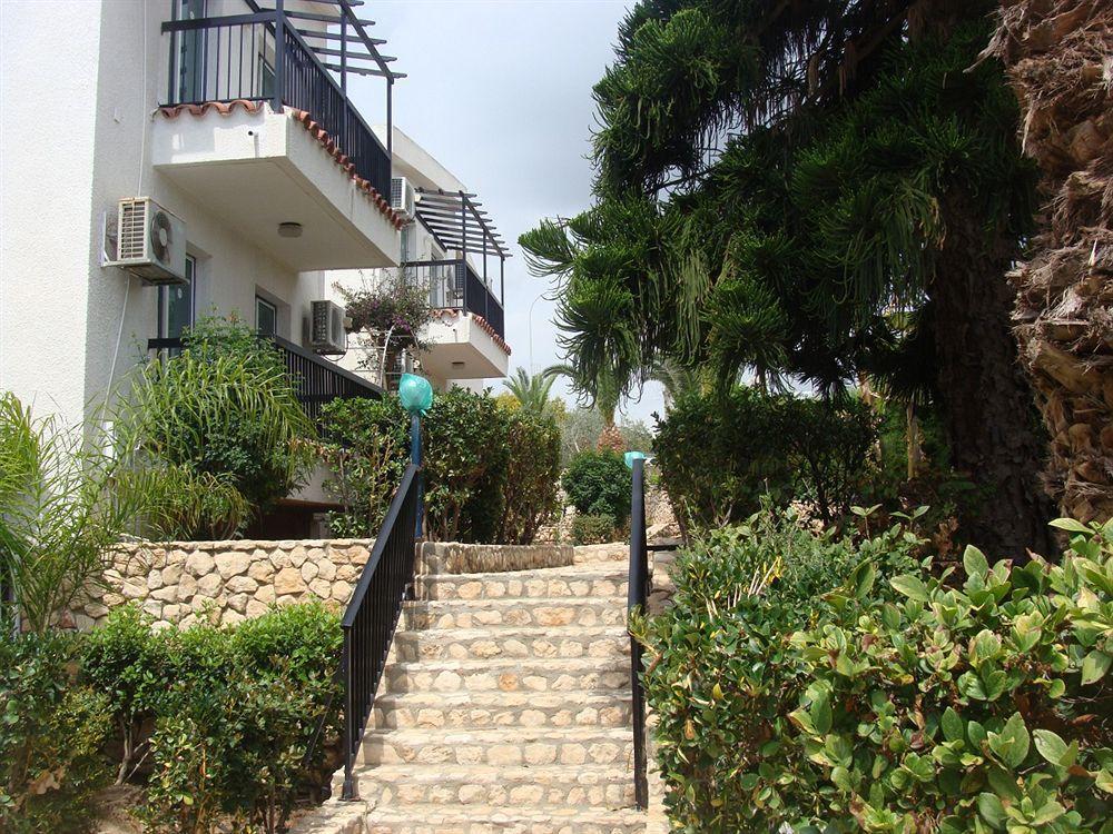 Aphelandra Hotel Apartments Айя Напа Екстериор снимка